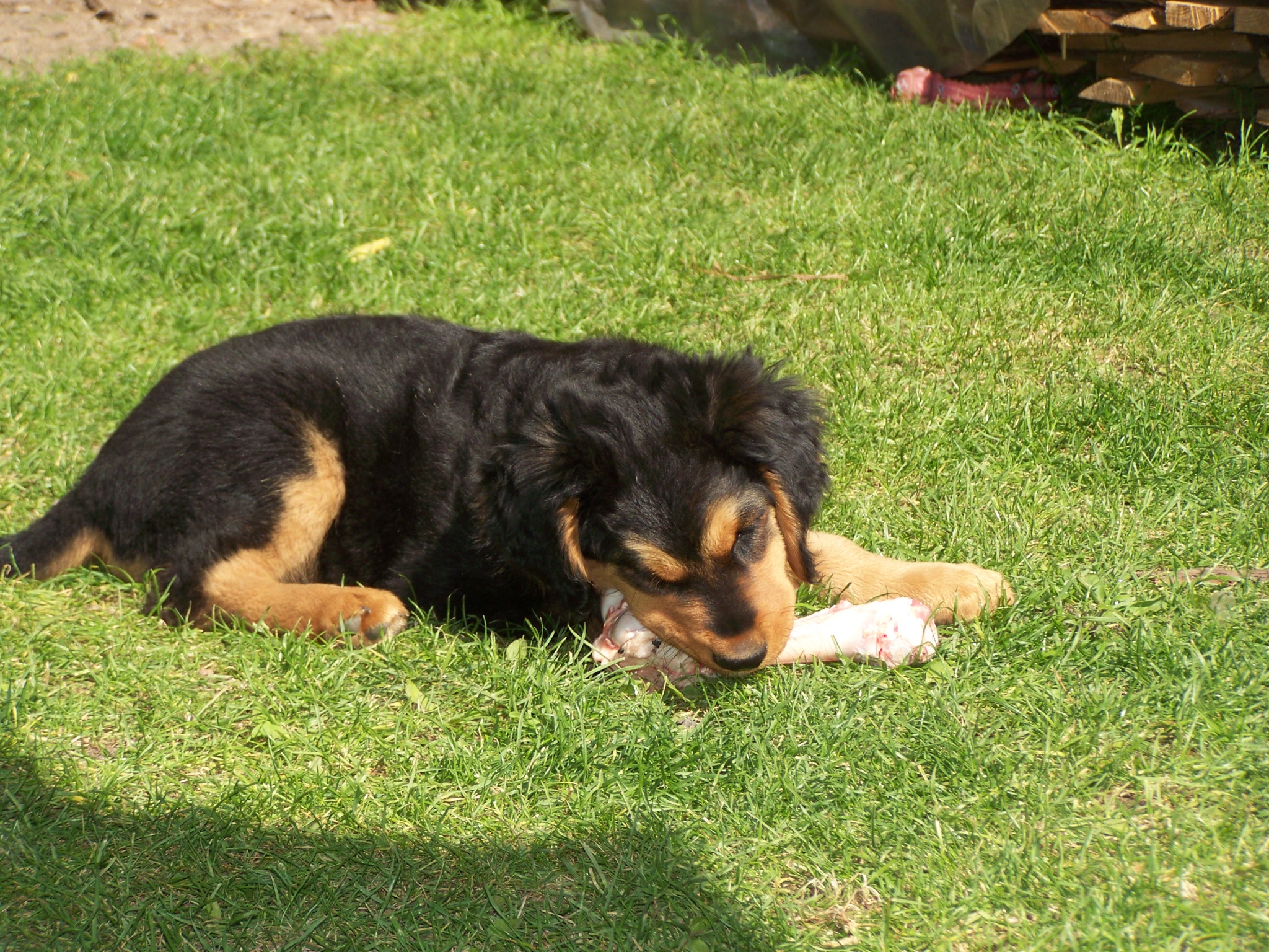 sami 10_tyden 004